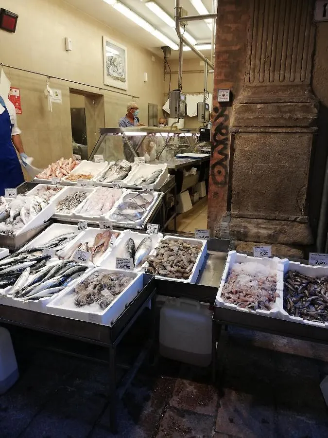 Appartamento: tranquillità o divertimento Bologna Appartamento
